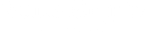 Bones Brigade: An Autobiography logo