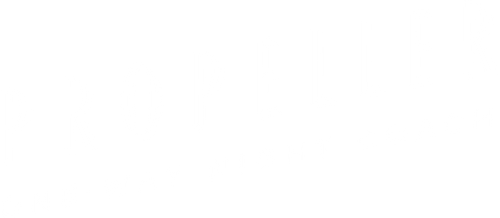 Propeller One-Way Night Coach logo