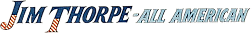 Le chevalier du stade logo