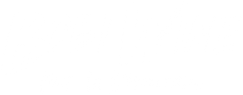 Bobi Wine : le président du peuple logo