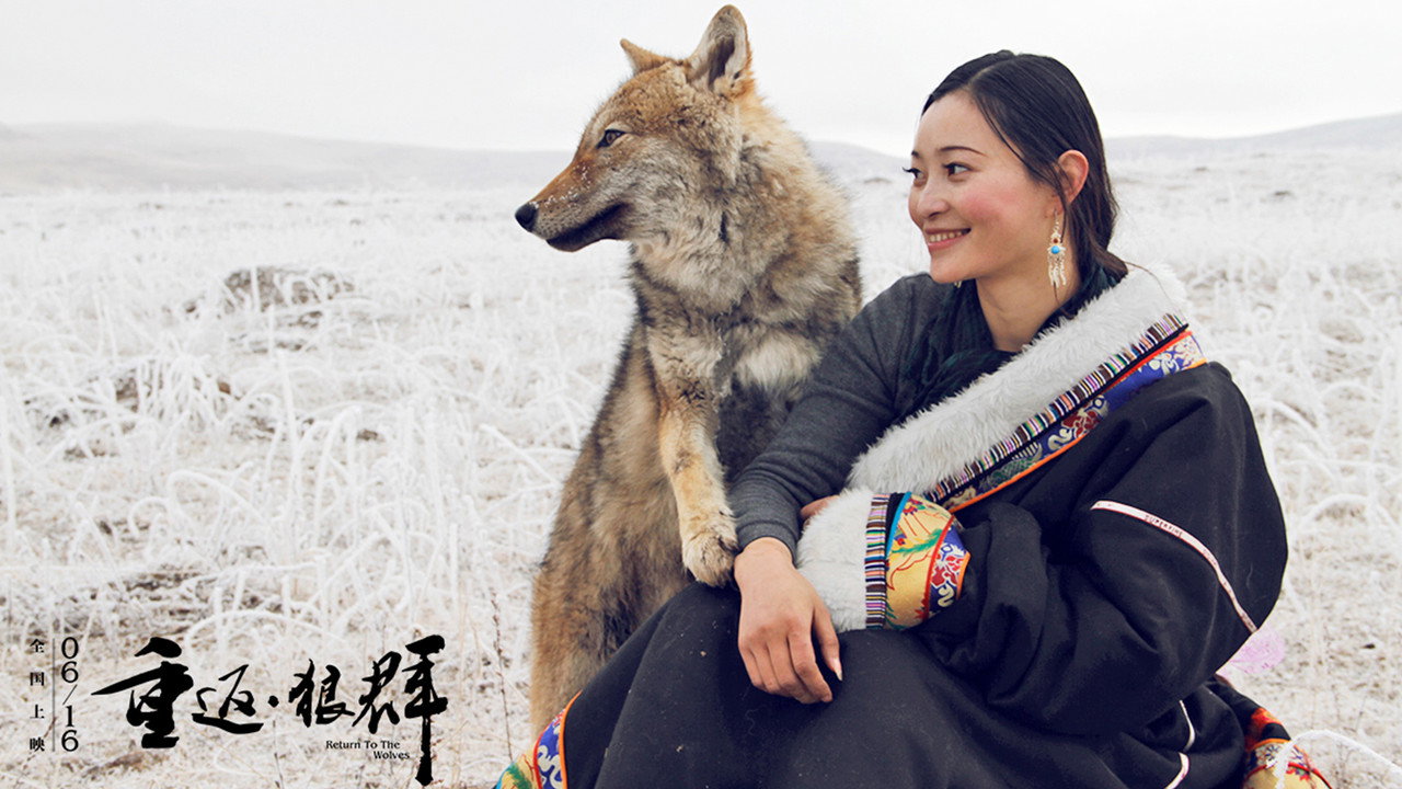 重返·狼群