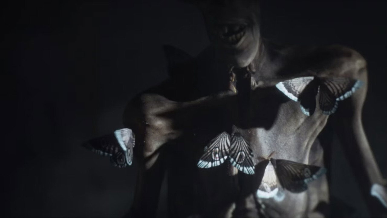 Moths