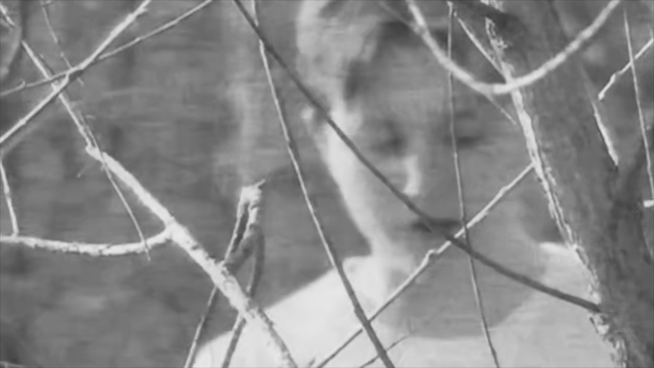 Montage of Vitrine