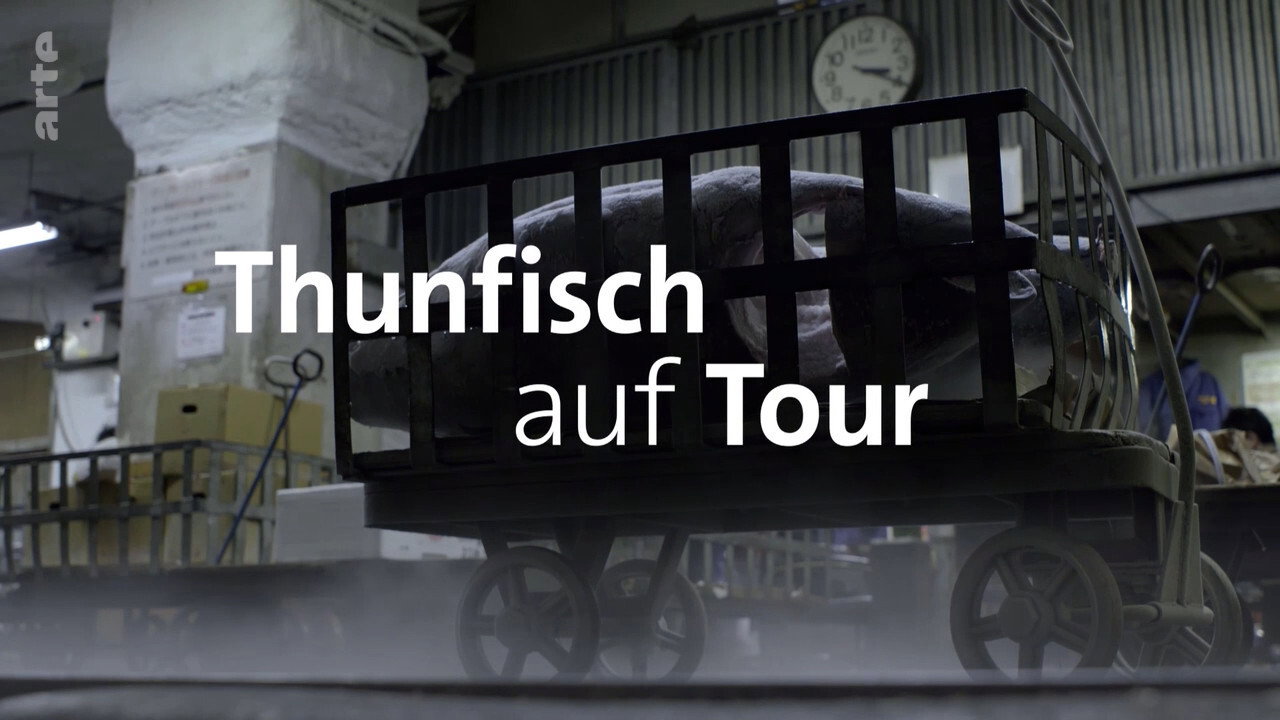 Tuna on Tour
