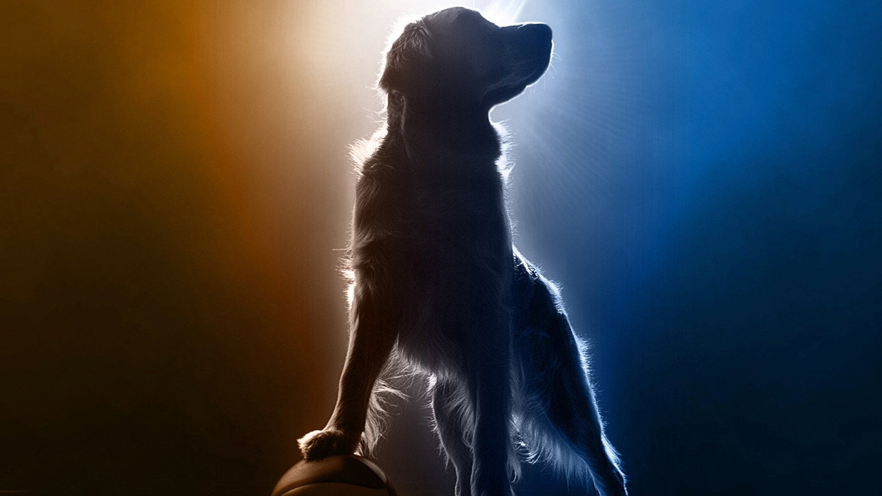 Air Bud Returns