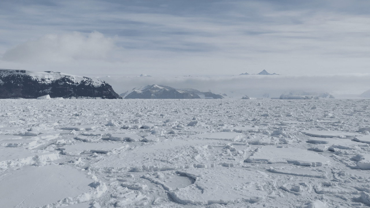 Antarctica in a Warming World