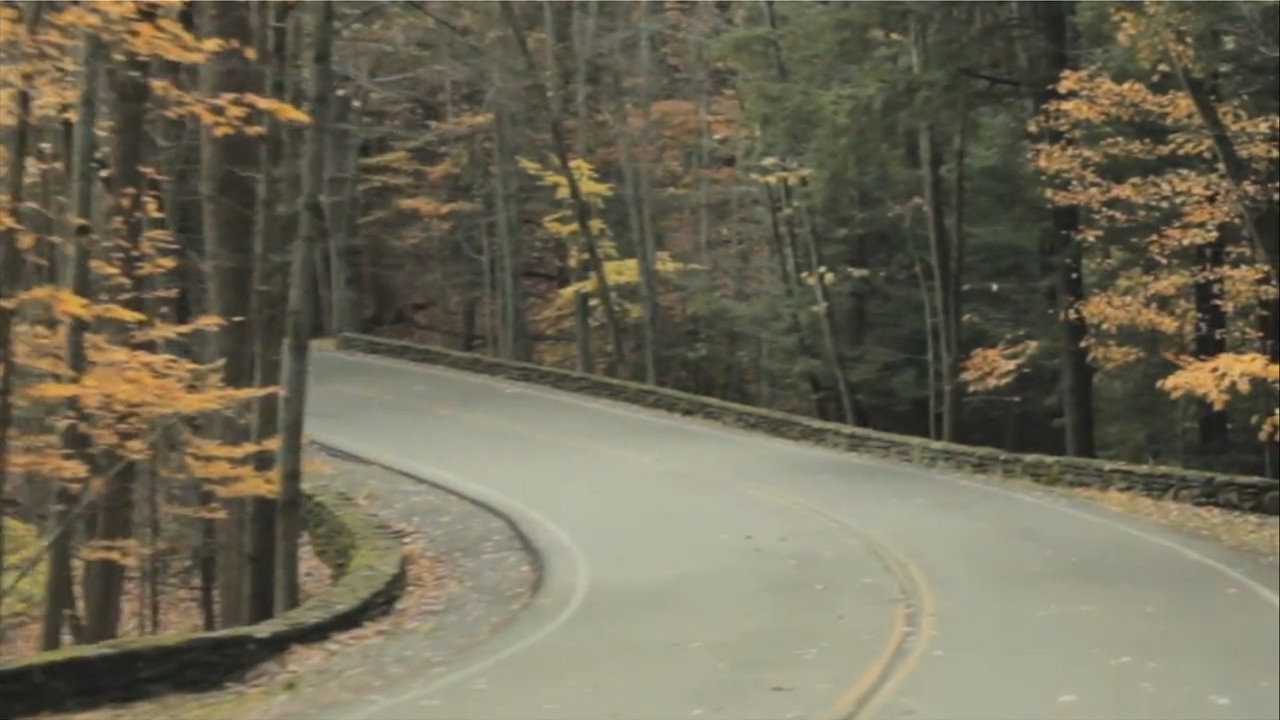 Fall