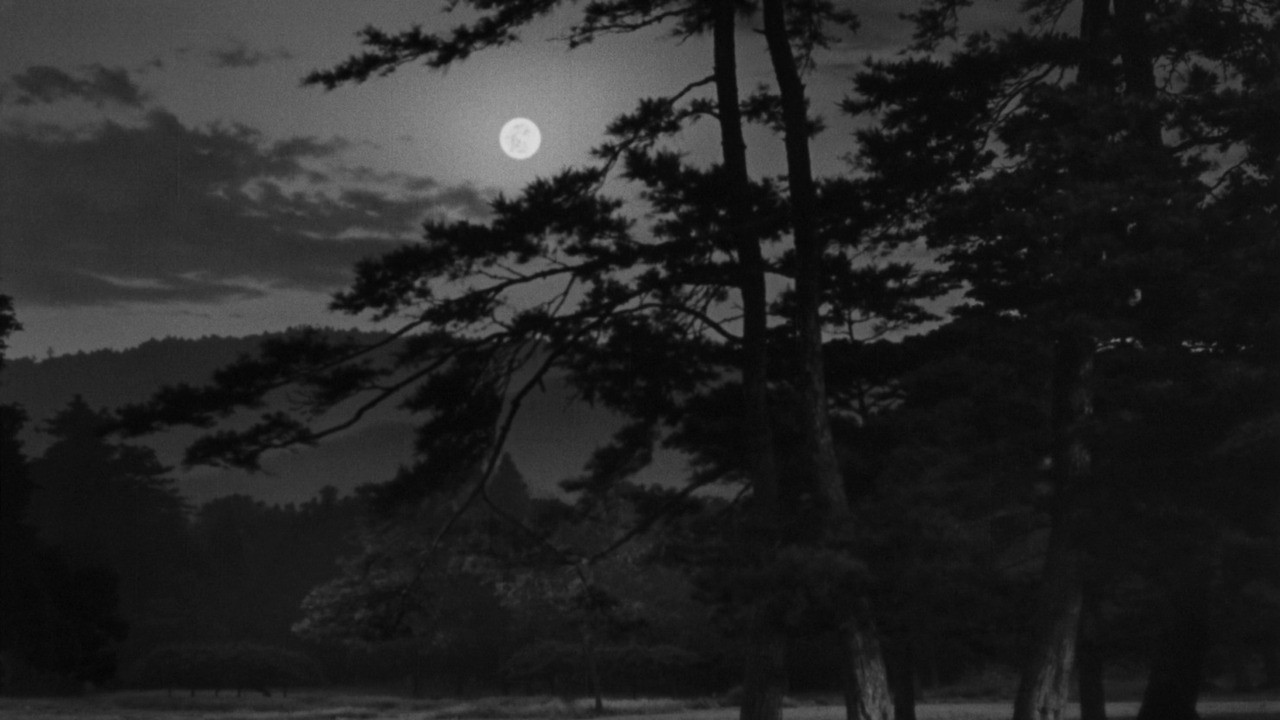 La lune s'est levée