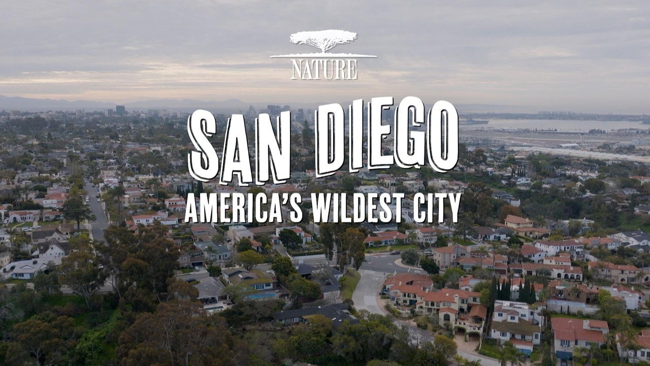 San Diego: America's Wildest City