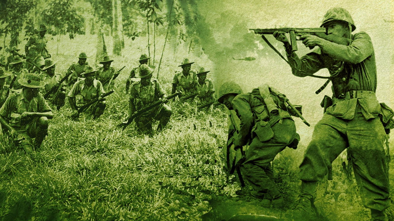 Les guerres de la jungle