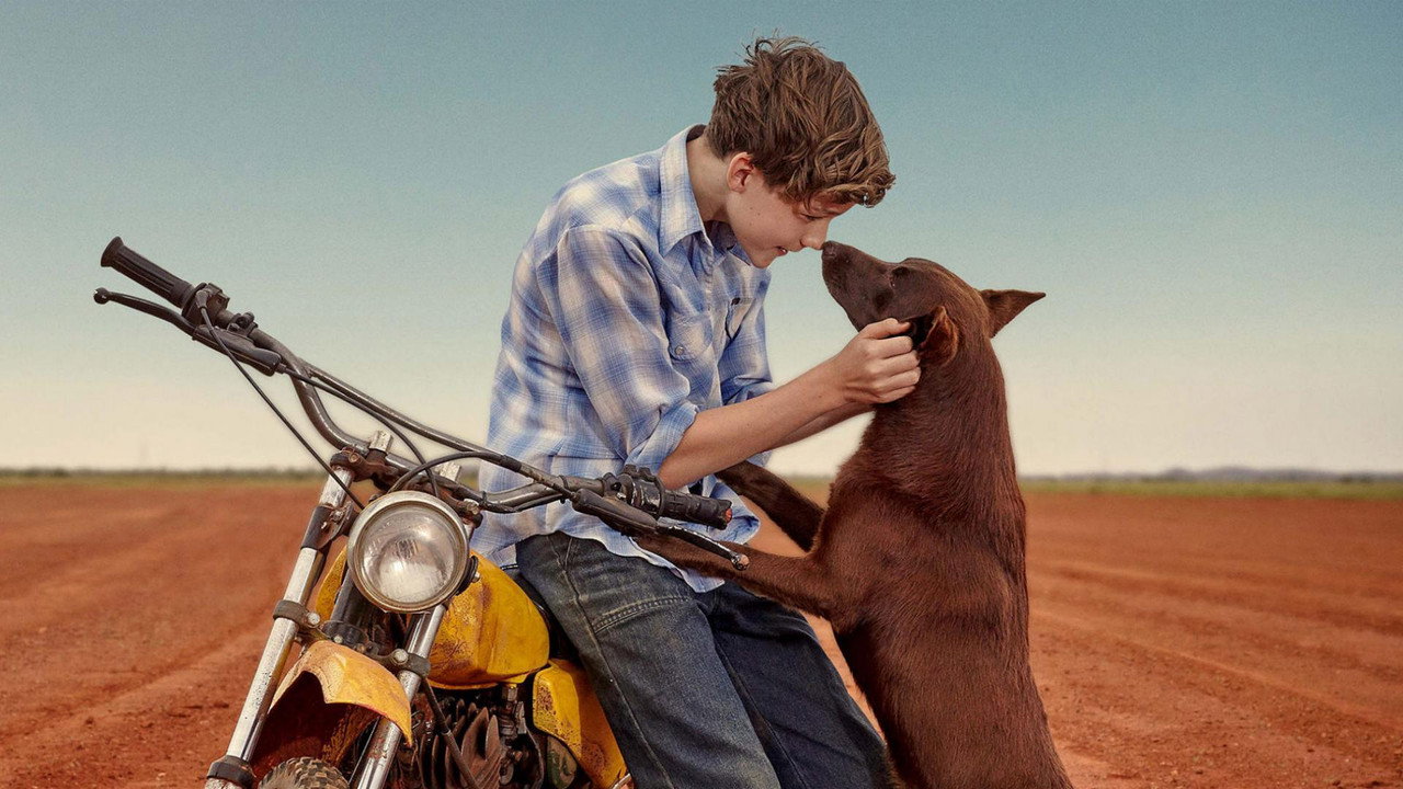 Blue, Mon Chien D'Australie