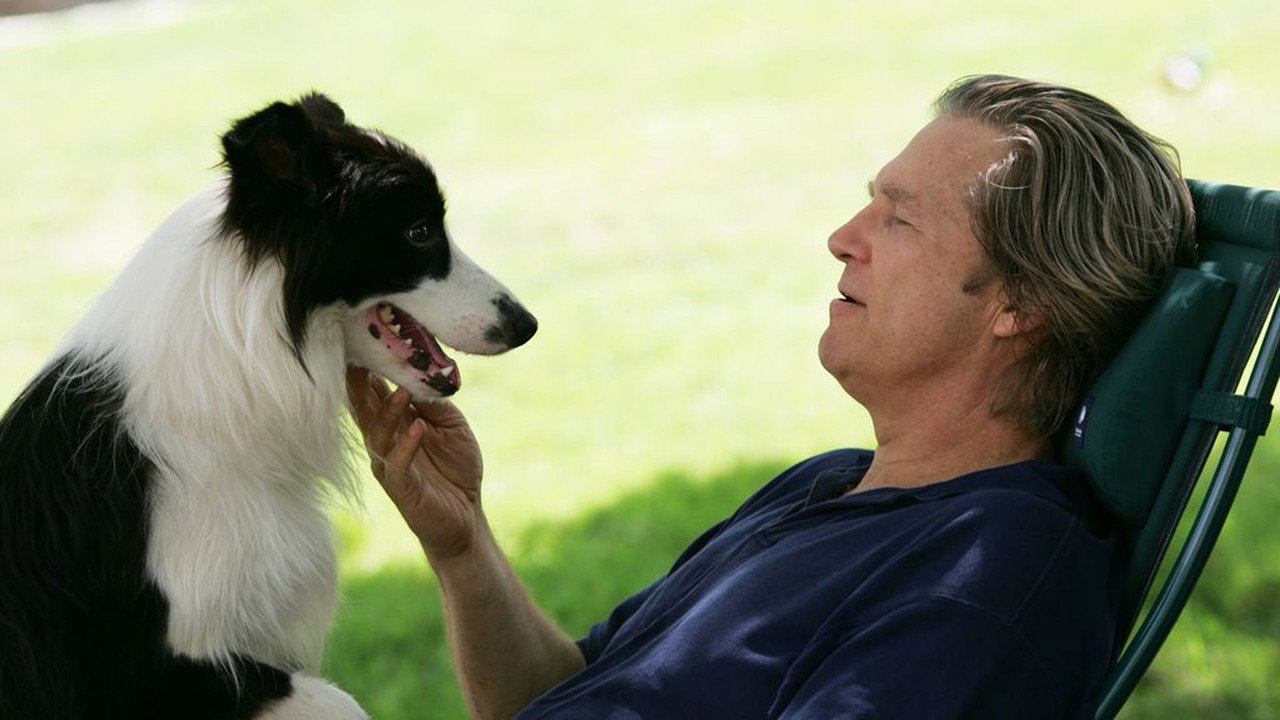 Une Année de Chien