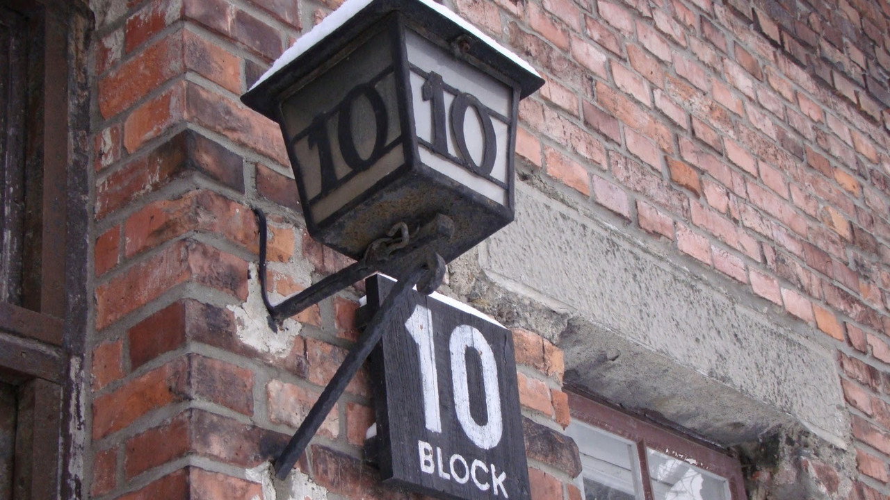 Les Expérimentations médicales à Auschwitz - Clauberg et les femmes du bloc 10