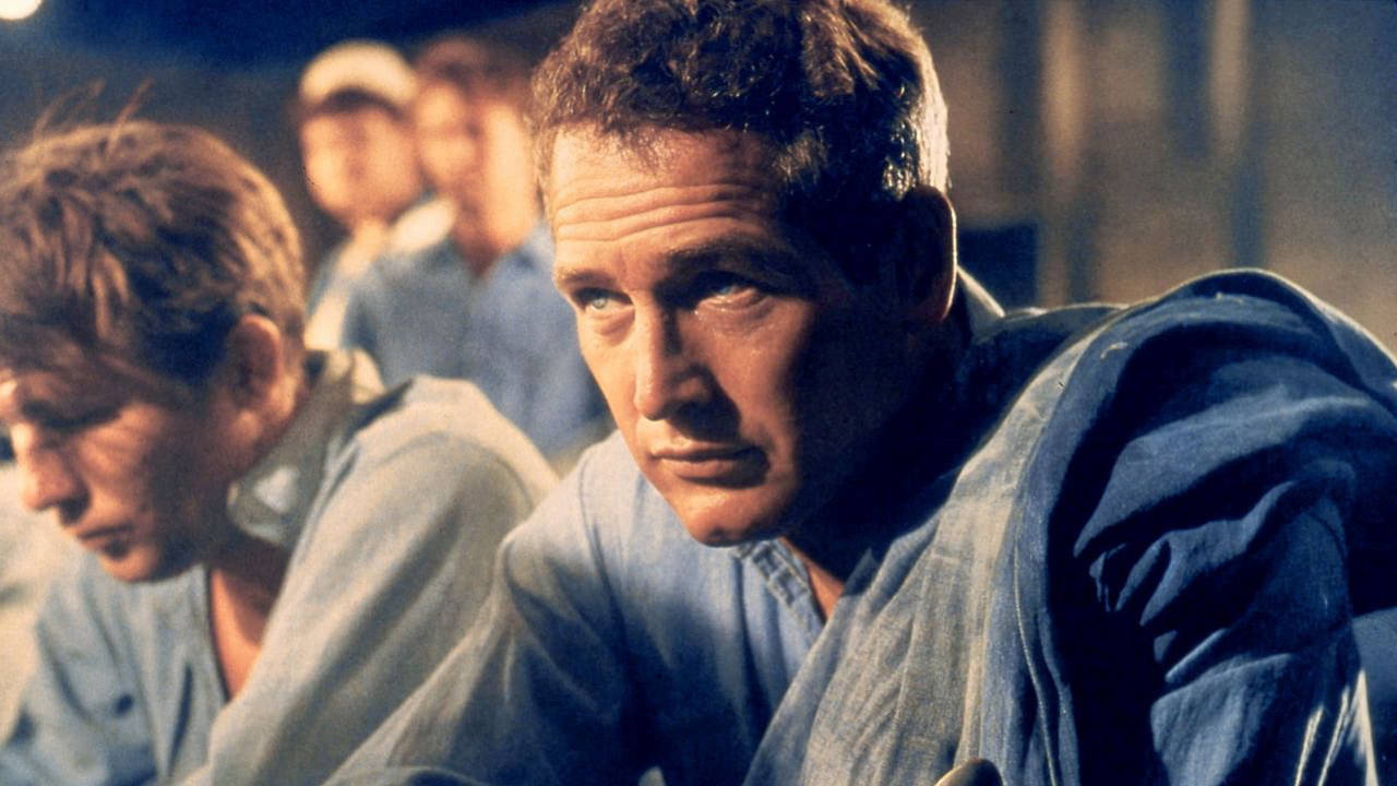 Paul Newman, l'intranquille