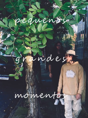 pequenos grandes momentos