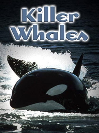 L'art de vivre d'une baleine tueuse