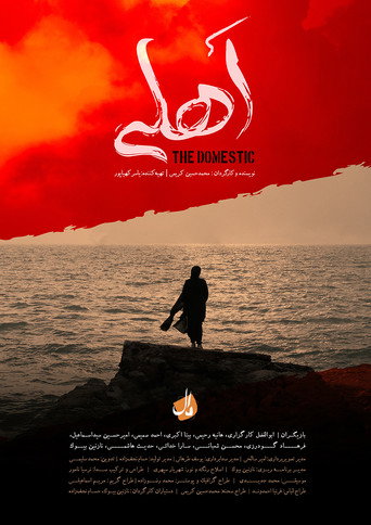 اهلی