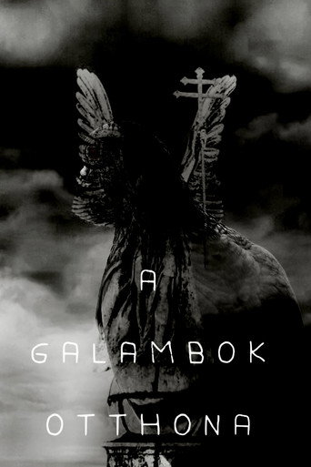 A galambok otthona