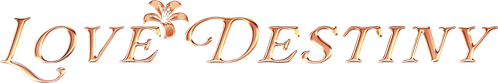Love Destiny logo