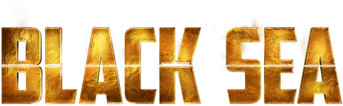 Black Sea logo