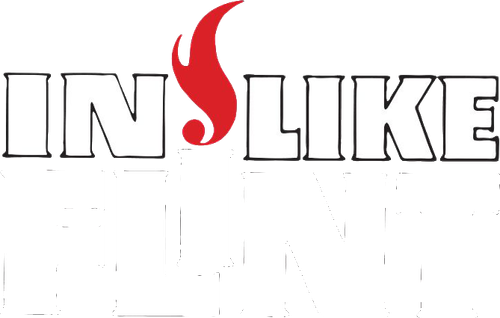 In Like Flint logo