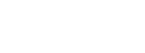 Harry Enfield's Television Programme logo