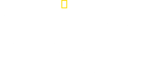 Les lignes Nazca logo