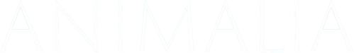 Animalia logo