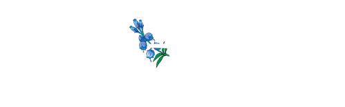 Mary et la fleur de la sorcière logo