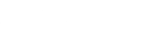 The Caveman's Valentine logo