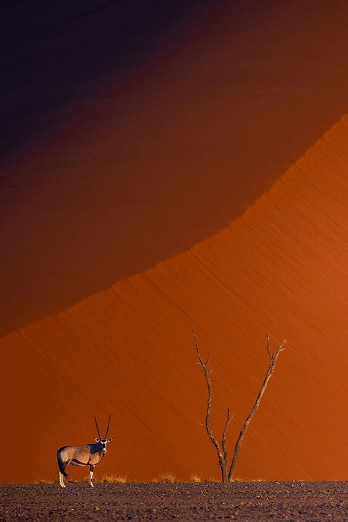 Namibie : exceptionnelle par nature