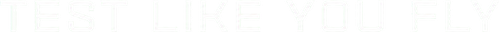 Test Like You Fly logo