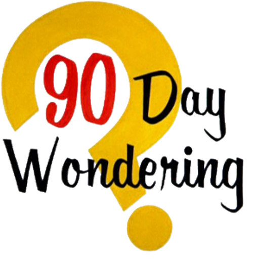 90 Day Wondering logo