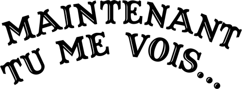 Maintenant Tu Me Vois... logo