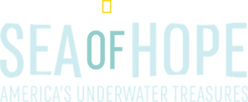 Sea of Hope: America's Underwater Treasures logo