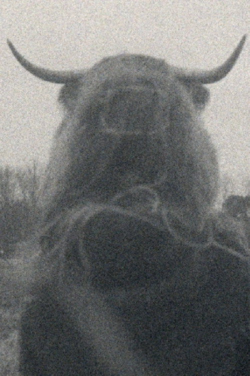 Gombaut