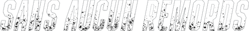 Sans aucun remords logo