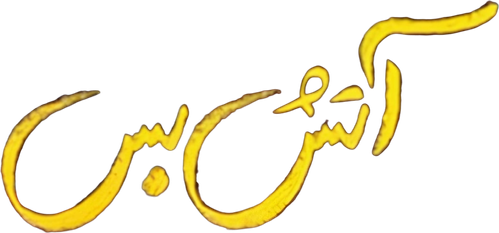 Cease Fire logo