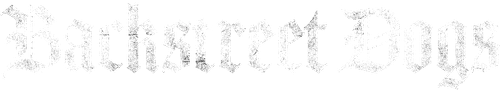 Backstreet Dogs logo