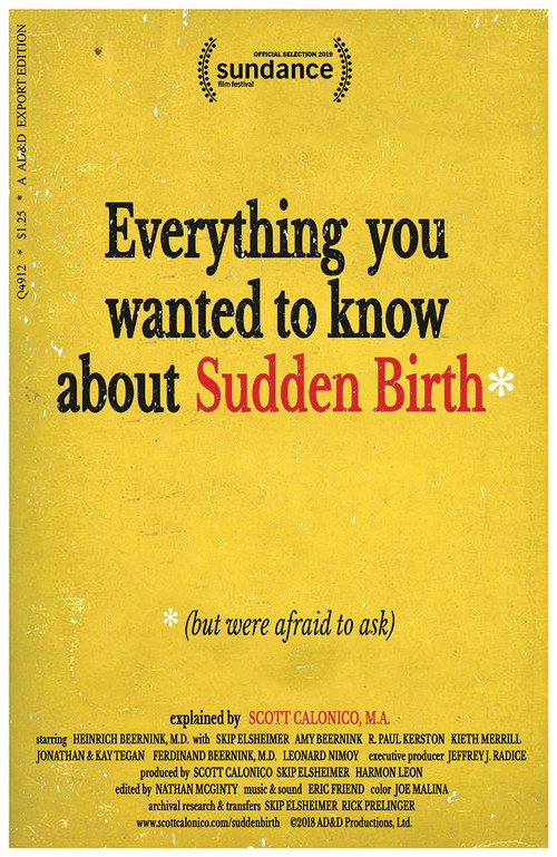 Everything You Wanted to Know About Sudden Birth (but were afraid to ask)