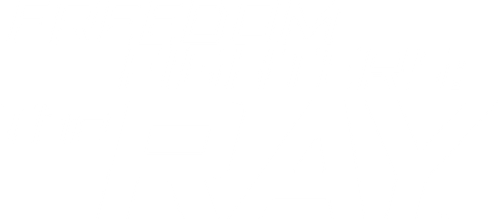 Freedom Fighters: The Ray logo