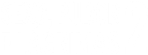 Sex, Shame and Tears 2 logo