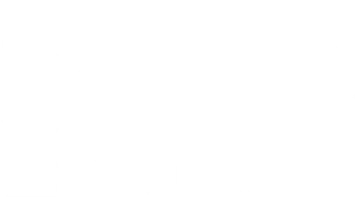 No logo