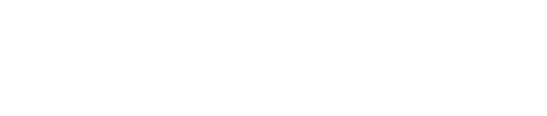 Concorde: The Untold Story logo