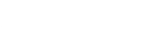 A Godwink Christmas: Meant For Love logo