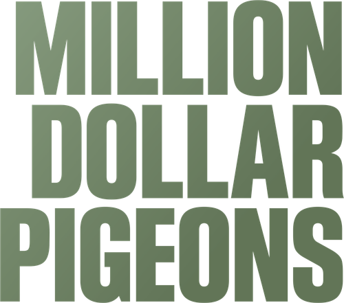 Une course, des pigeons et des millions logo