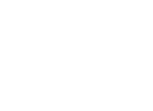 Ray logo